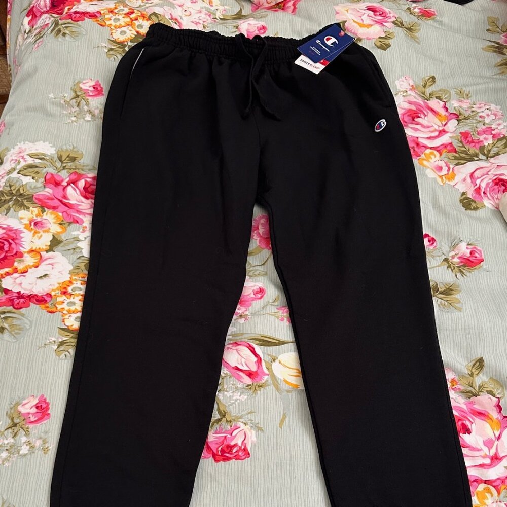 Champion sweatpants - Mens Large